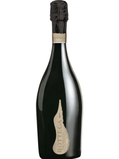 New bottega , Prosecco, Vino Biologico, Spumante, DOC, extra-dry, white (organic) 0.75L