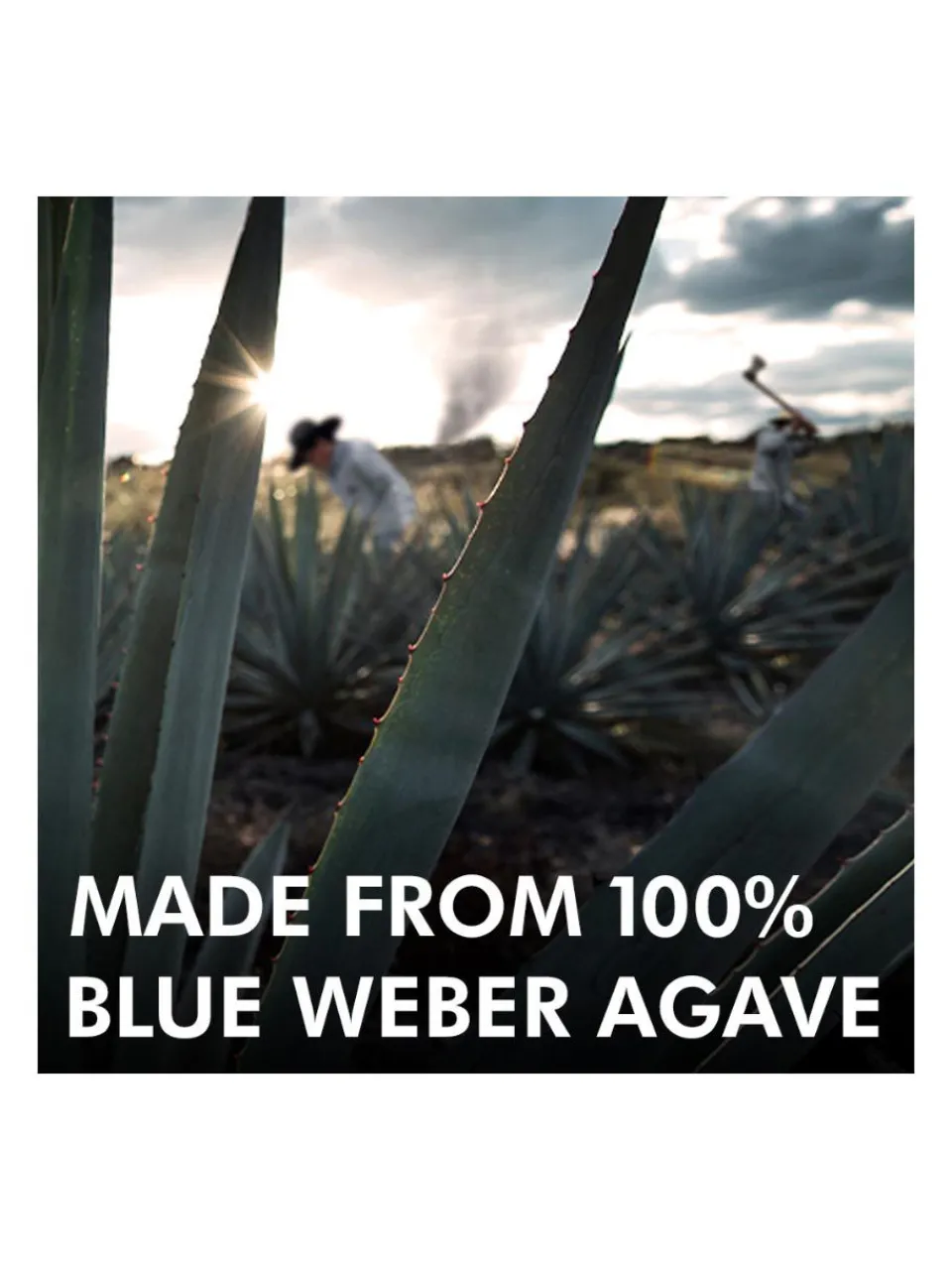 Online casamigos Casamigo Blanco Tequila 40% 1L