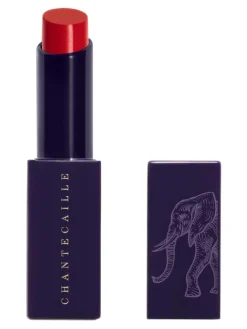 Best chantecaille Lip Veil Lipstick Protea