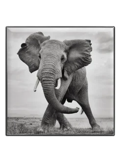 Outlet chantecaille Luminescent Eye Shadow Elephant