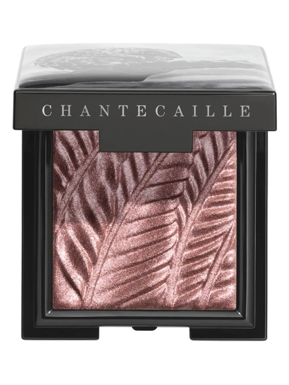 Hot chantecaille Luminescent Eye Shadow Pangolin