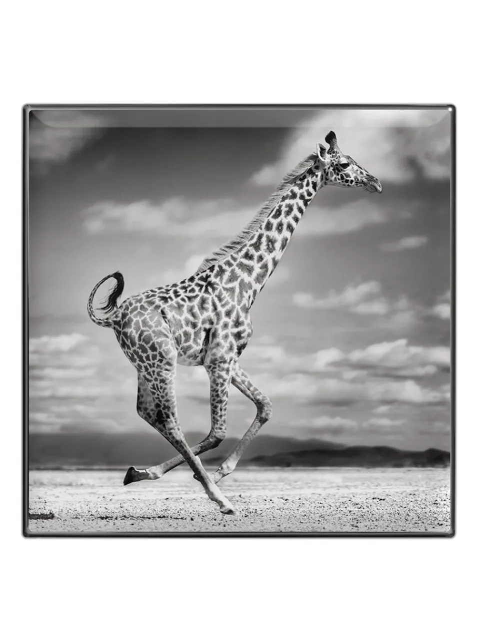 Fashion chantecaille Luminescent Eye Shadow Giraffe