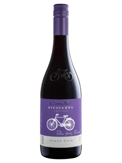 Best cono-sur Cono Sur, Bicicleta, Pinot Noir, Central Valley, DO, dry, red 0.75L