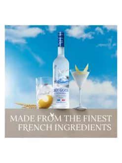 Hot grey-goose Grey Goose Vodka 40% 1L
