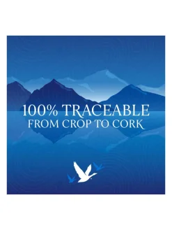Hot grey-goose Grey Goose Vodka 40% 1L