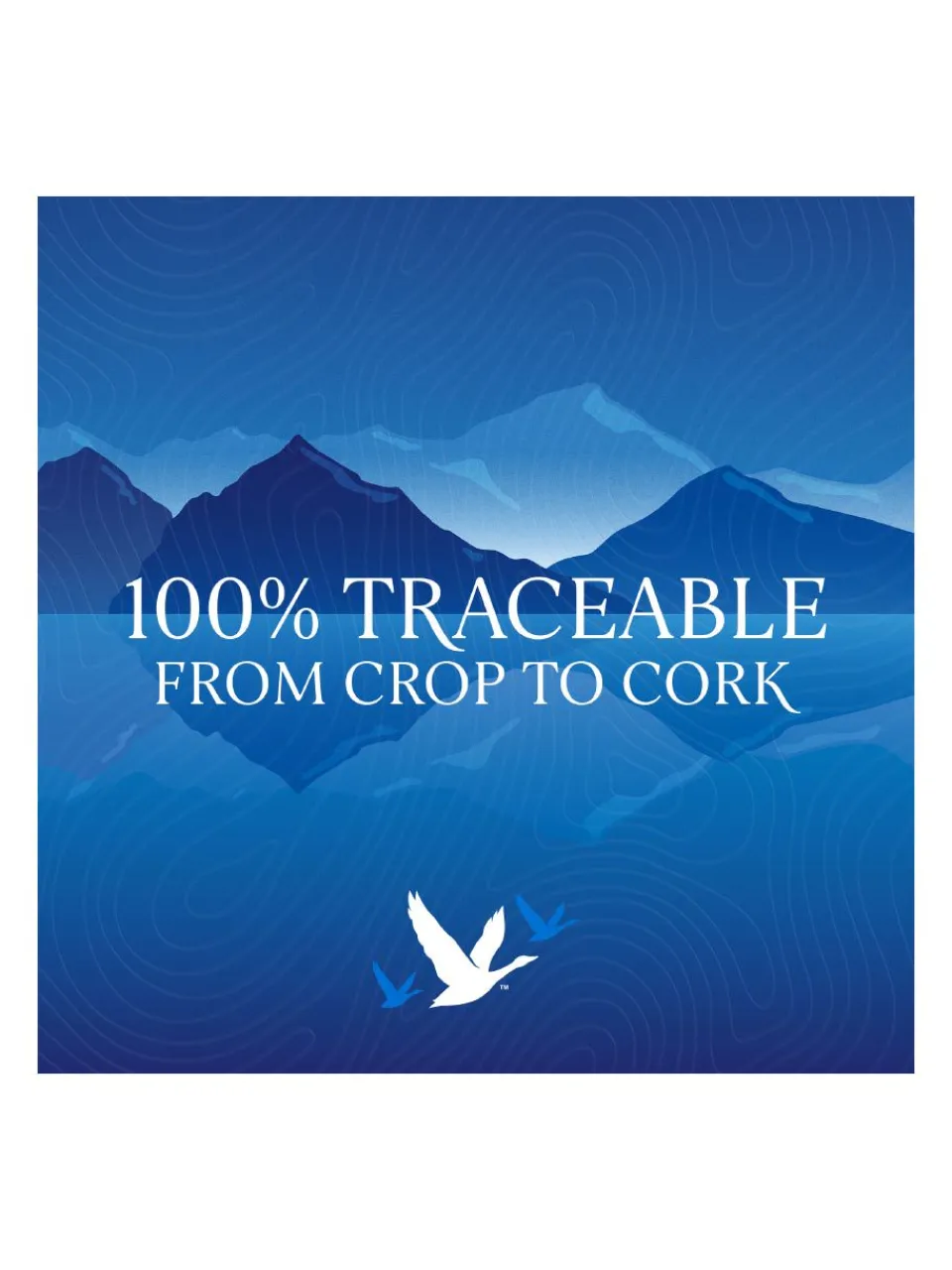 Hot grey-goose Grey Goose Vodka 40% 1L