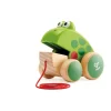 Discount hape , frog pull along