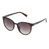 Discount le-specs Le Specs, Armada, women's sunglasses