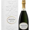 Best palmer-and-co Palmer & Co., Amazone de Palmer, Champagne, AOC, brut, white (gift packaging) 0.75L