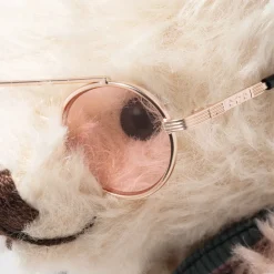 Online steiff Rocks! Elton John