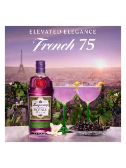 Online tanqueray Blackcurrant Royale Gin 41.3% 1L