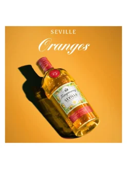 Discount tanqueray Flor de Sevilla Gin 41.3% 1L