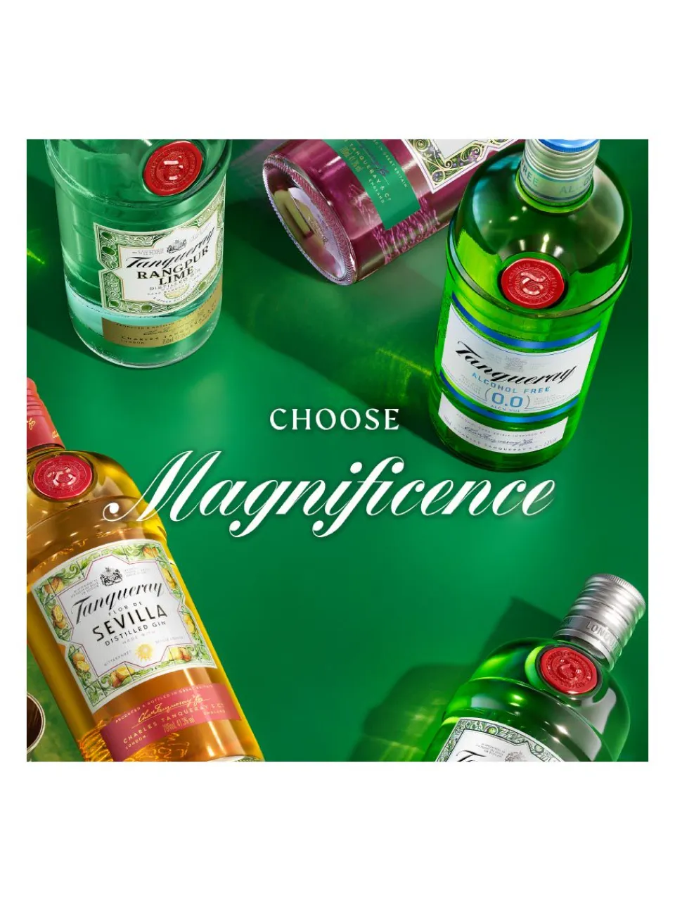 Discount tanqueray Rangpur Gin 41.3% 1L
